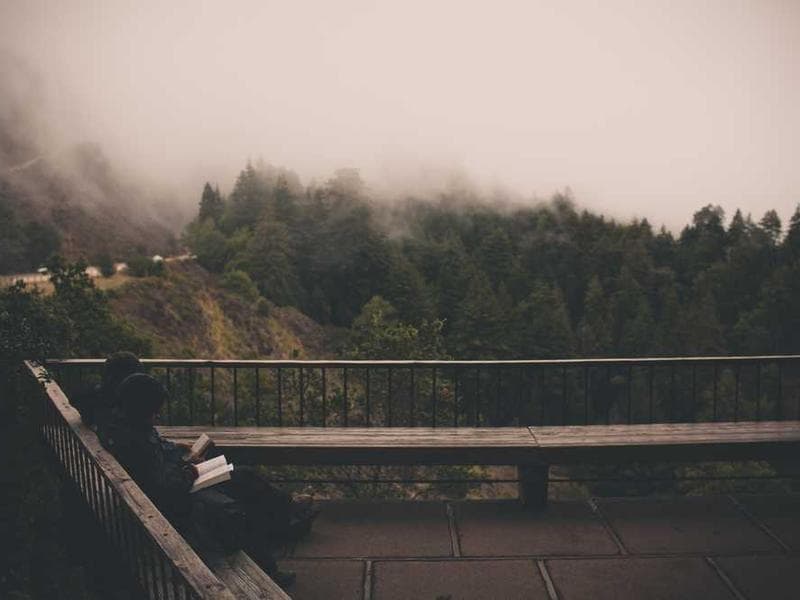 MoMA Cy Twombly Retrospective Poster 2011